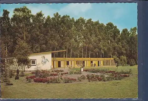 [Ansichtskarte] AK Bad Waldliesborn Liegehalle - Milchbar 1965. 