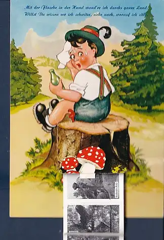 [Ansichtskarte] AK Liporello Gruß von der Almhütte Junge auf Baumstumpf mit Flasche 10.Ansichten Ibbenbüren 1966. 