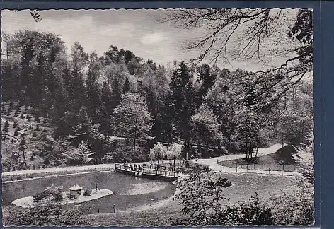 [Ansichtskarte] AK Mülheim ( Ruhr) Witthausbusch 1961. 