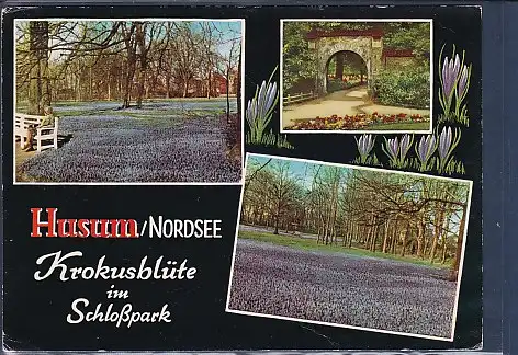 [Ansichtskarte] AK Husum / Nordsee Krokusblüte im Schloßpark 3.Ansichten 1976. 
