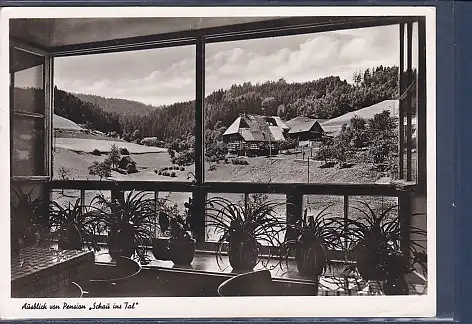 [Ansichtskarte] AK Cafe Pension Restaurant Schau ins Tal Middendorff Lauterbach Schwarzwald 1956. 