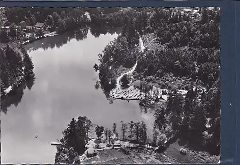 [Ansichtskarte] AK Die Waldschenke das Rasthaus am Ebnisee Luftaufnahme 1957. 