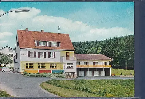 [Ansichtskarte] AK Gasthaus und Pension Haus Waldfrieden Wildensee / Spessart 1970. 