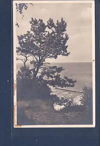 [Ansichtskarte] AK Ostpreußische Steilküste 1940. 