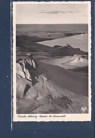 [Ansichtskarte] AK Kurische Nehrung - Wander der Dünenwelt 1940. 