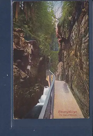 [Ansichtskarte] AK Riesengebirge Die Zackelklamm 1923. 