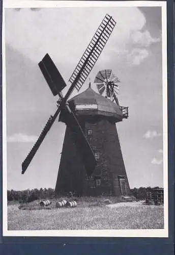 [Ansichtskarte] AK Elbinger Niederung Holländermühle Ostpreußenkalender 1964. 
