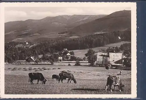 [Ansichtskarte] AK Riesengebirge Weißbachtal mit Riesenkamm und Reifträger 1960. 