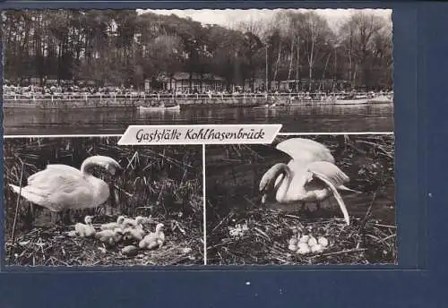 [Ansichtskarte] AK Gaststätte Kohlhasenbrück Berlin Wannsee Kohlhasenbrück 3.Ansichten 1960. 