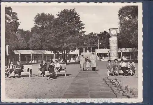 [Ansichtskarte] AK Berlin Strandbad am Müggelsee 1963. 