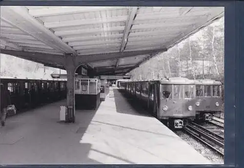 [Ansichtskarte] BVG Bild Bild Nr. 2962-06 U1 Krumme Lanke. 