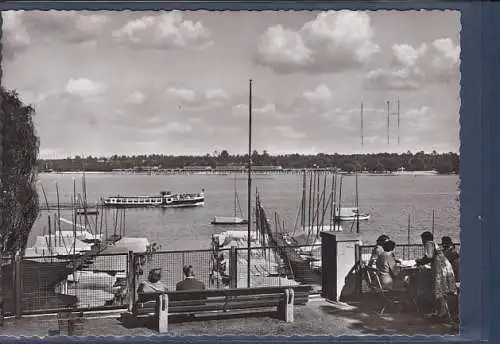 [Ansichtskarte] AK Berlin Blick von Heckeshorn auf Strandbad Wannsee 1960. 