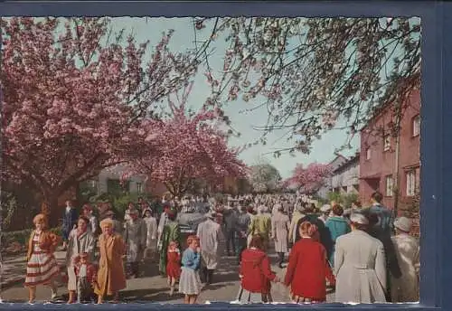 [Ansichtskarte] AK Berlin Baumblüte in Britz 1970. 
