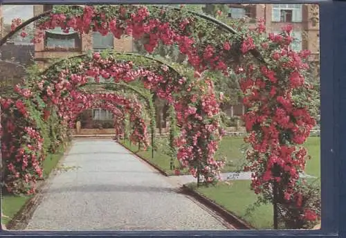 [Ansichtskarte] AK Rosenblüte auf dem Karolingerplatz Charlottenburg 1929. 
