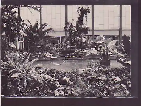 AK Tierpark Berlin Tropenhalle im Alfred Brehm Haus 1965