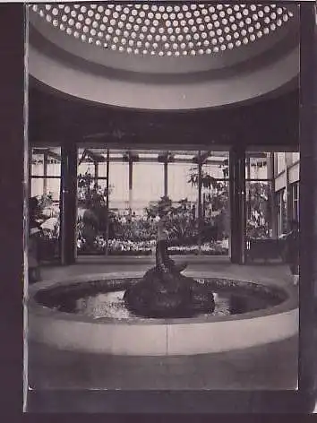 AK Tierpark Berlin Krokodilbrunnen im Alfred Brehm Haus 1963