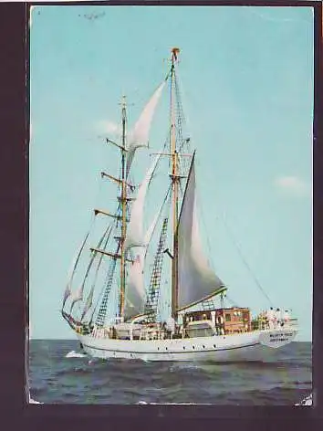 AK Segelschulschiff Wilhelm Pieck 1979