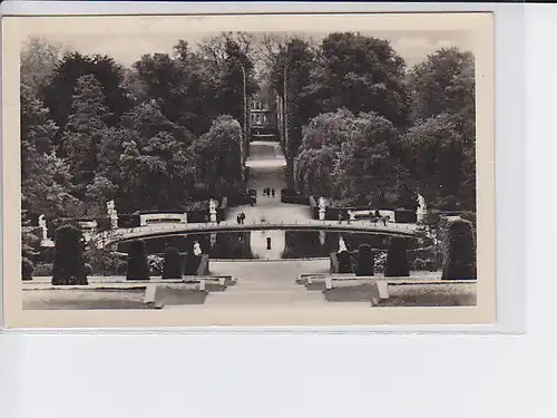AK Potsdam Im Park von Sanssouci 1956