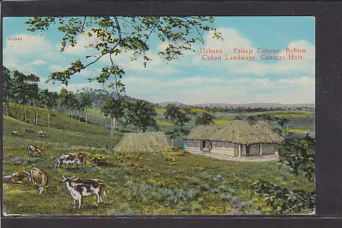 AK Habana: Country Huts 1925