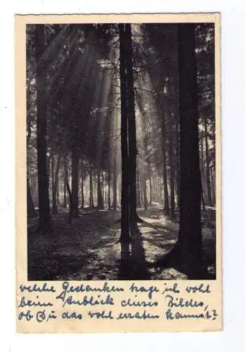 1943 - von Nordhausen nach Tullnerbach / von der Luft-Nachrichten-Schule