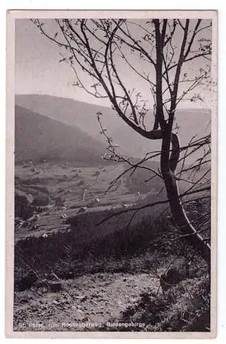 1944 - AK St. Peter vom Rosseggerweg / mit Werbestempel Spindelmühle (Riesengeb.)