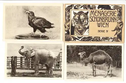 5er Serie (Nr. IV), K u.K Zeit mit Deckblatt, Tierpark &quot;Menagerie&quot; Schönbrunn, Wien