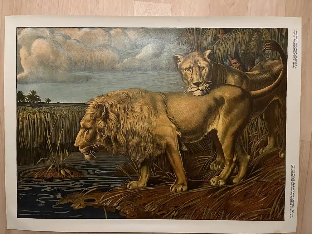 Große Chromolithographie (98x72cm) einer Löwin mit Löwe im Jugendstil (um 1925) 0