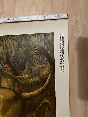 Große Chromolithographie (98x72cm) einer Löwin mit Löwe im Jugendstil (um 1925)