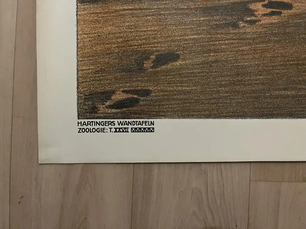 Antike Chromolithographie (98x72cm) von Karawane rasten am Rand einer Oase im Jugendstil (um 1915) 2