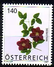 Österreich Mi.Nr. 2682 Freim. Blumen, Waldrebe (140)