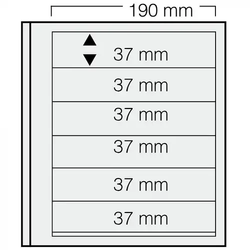 SAFE - dual Blankoblatt 616 (6 Streifen, Höhe 37 x Breite 190 mm)