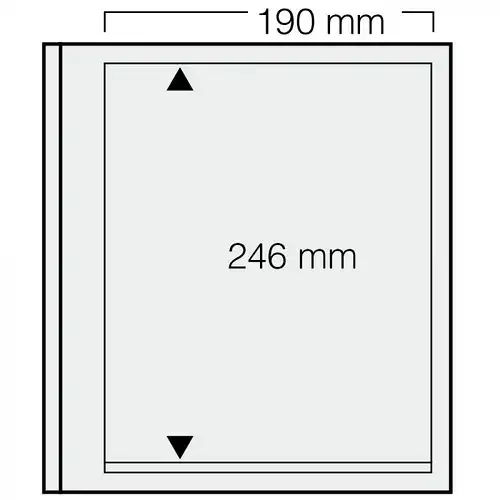 SAFE - dual Blankoblatt 620 (1 Streifen, Höhe 246 x Breite 190 mm)