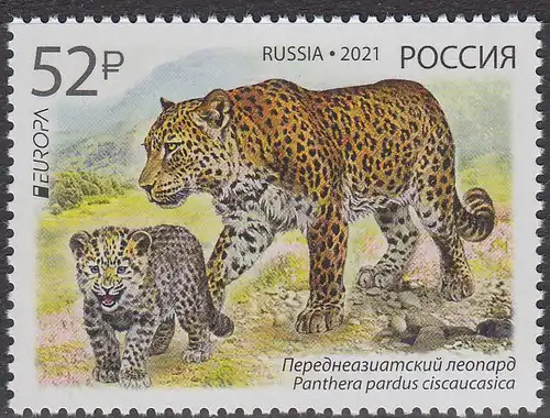 Russland MiNr. 2944 Europa 2021, Gefährdete Wildtiere, Persischer Leopard (52)