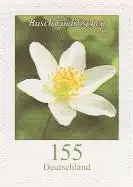 D,Bund MiNr. 3484 a.MS Freim.Blumen, Buschwindröschen, skl aus Markenset (155)