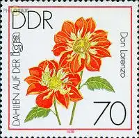 D,DDR Mi.Nr. 2440 Int. Gartenbauausstellung Erfurt, Dahlie Don Lorenzo (70)