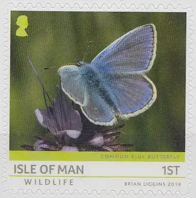 Insel Man MiNr. 2463 Fauna auf Isle of Man, Hauhechel-Bläuling skl.