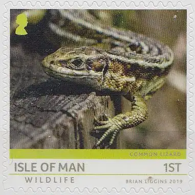 Insel Man MiNr. 2464 Fauna auf Isle of Man, Waldeidechse skl.