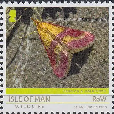 Insel Man MiNr. 2458 Fauna auf Isle of Man, Purpurroter Zünsler