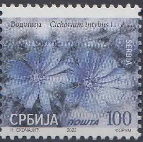 Serbien MiNr. (noch nicht im Michel) Cichorium intybus (100)