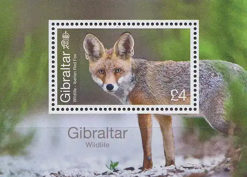 Gibraltar Mi.Nr. Block (noch nicht im Michel) Gibraltars Wildtire: Fuchs