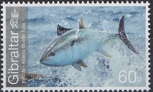 Gibraltar Mi.Nr. Block (noch nicht im Michel) Wildtire: Blauflossen-Thunfisch