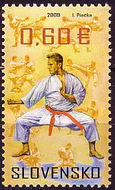 Slowakei Mi.Nr. 611 Kampfsport, Karate (0,60)