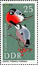 D,DDR Mi.Nr. 1275 Geschützte Vogelarten, Gimpel (25)