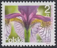 Polen Mi.Nr. 4856 Freim. Schwertlilie (2)