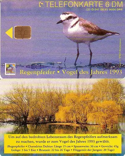 Telefonkarte O 041 06.93, Vogel des Jahres Regenpfeifer, Aufl. 8000
