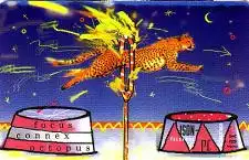 Telefonkarte PD 6 95 Zirkus Leopard, DD 3501 Modul 23