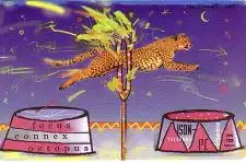 Telefonkarte PD 6 96 Zirkus Leopard, DD 3603 Modul 20