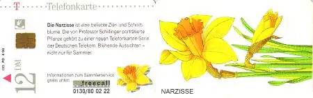 Telefonkarte PD 4 98 Narzisse, DD 1804 Modul 35