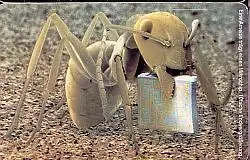 Telefonkarte P 06 04.02 Ameise mit Mikrochip, DD 5205