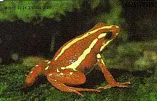 Telefonkarte S 10 02.94 City Zoo, Frosch, DD 3402 Modul 20